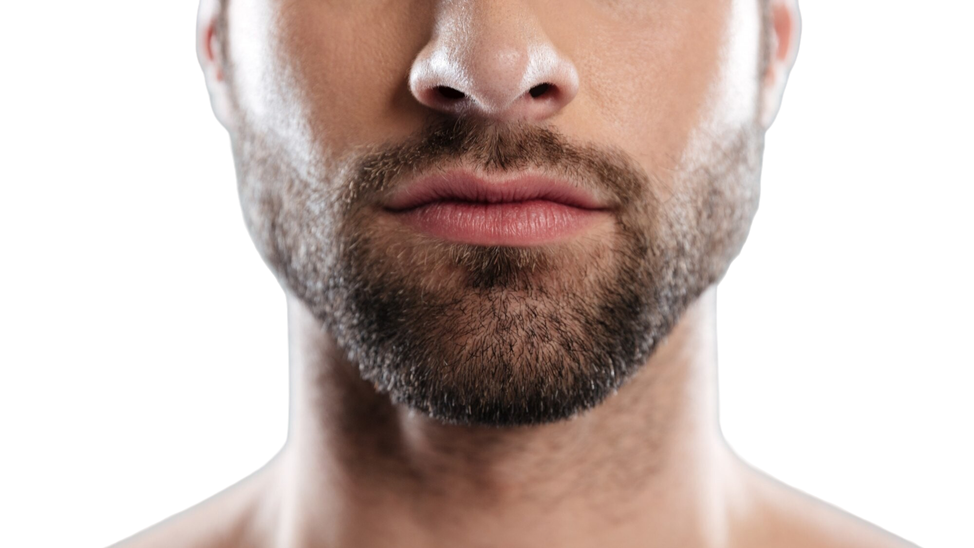 Mustache transplantation